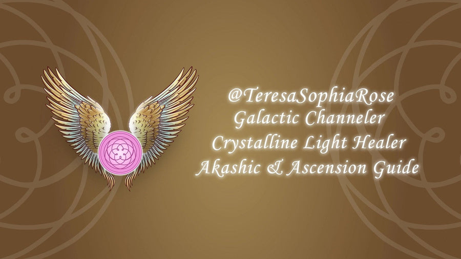 Light Network Spotlight: Teresa Sophia Rose