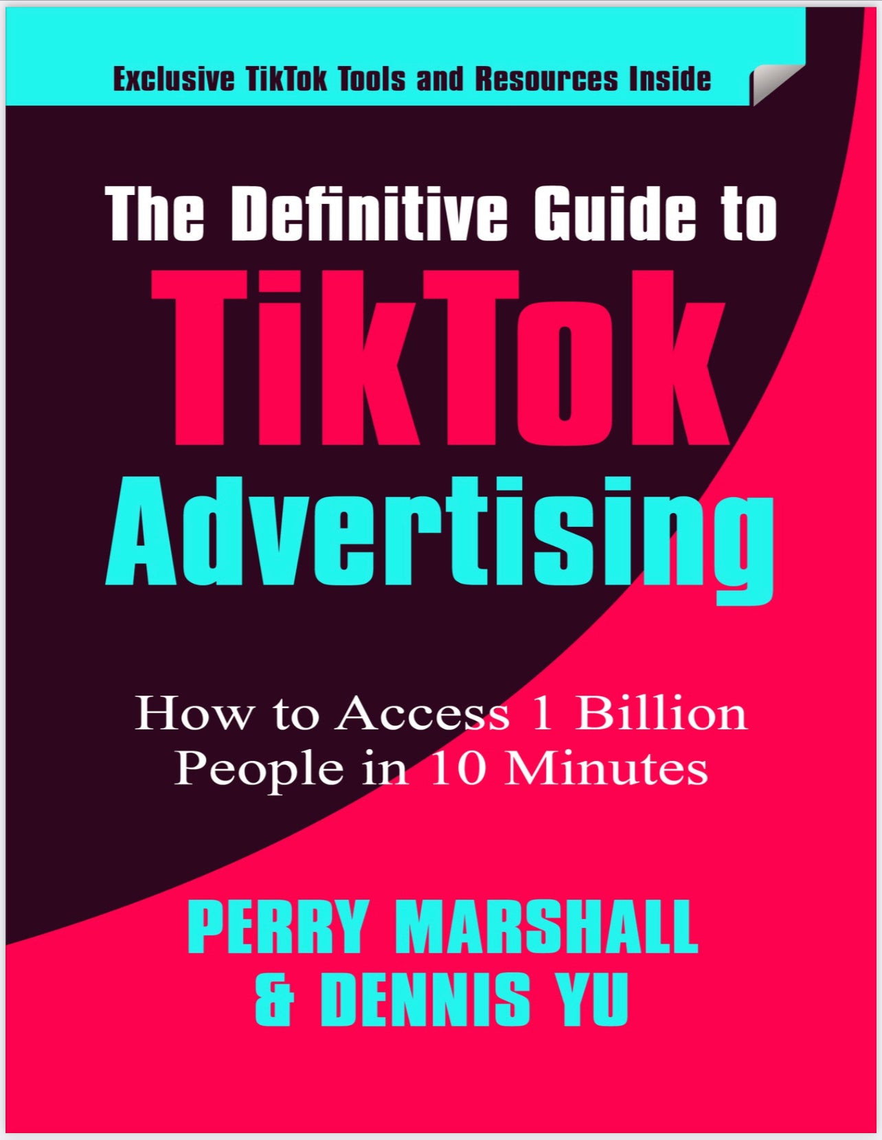 The Definitive Guide to TikTok Advertising