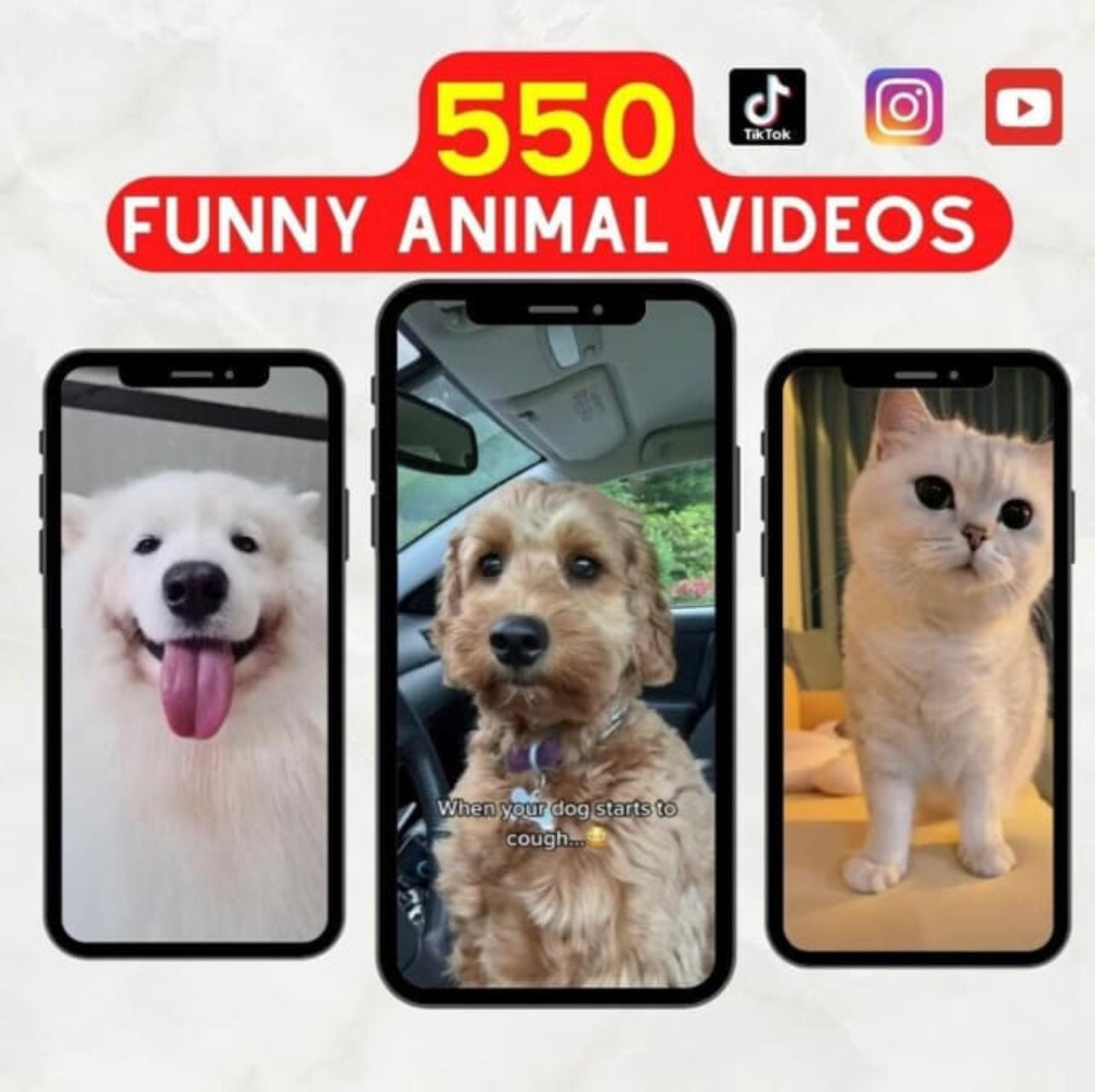 550 Funny Animal Videos