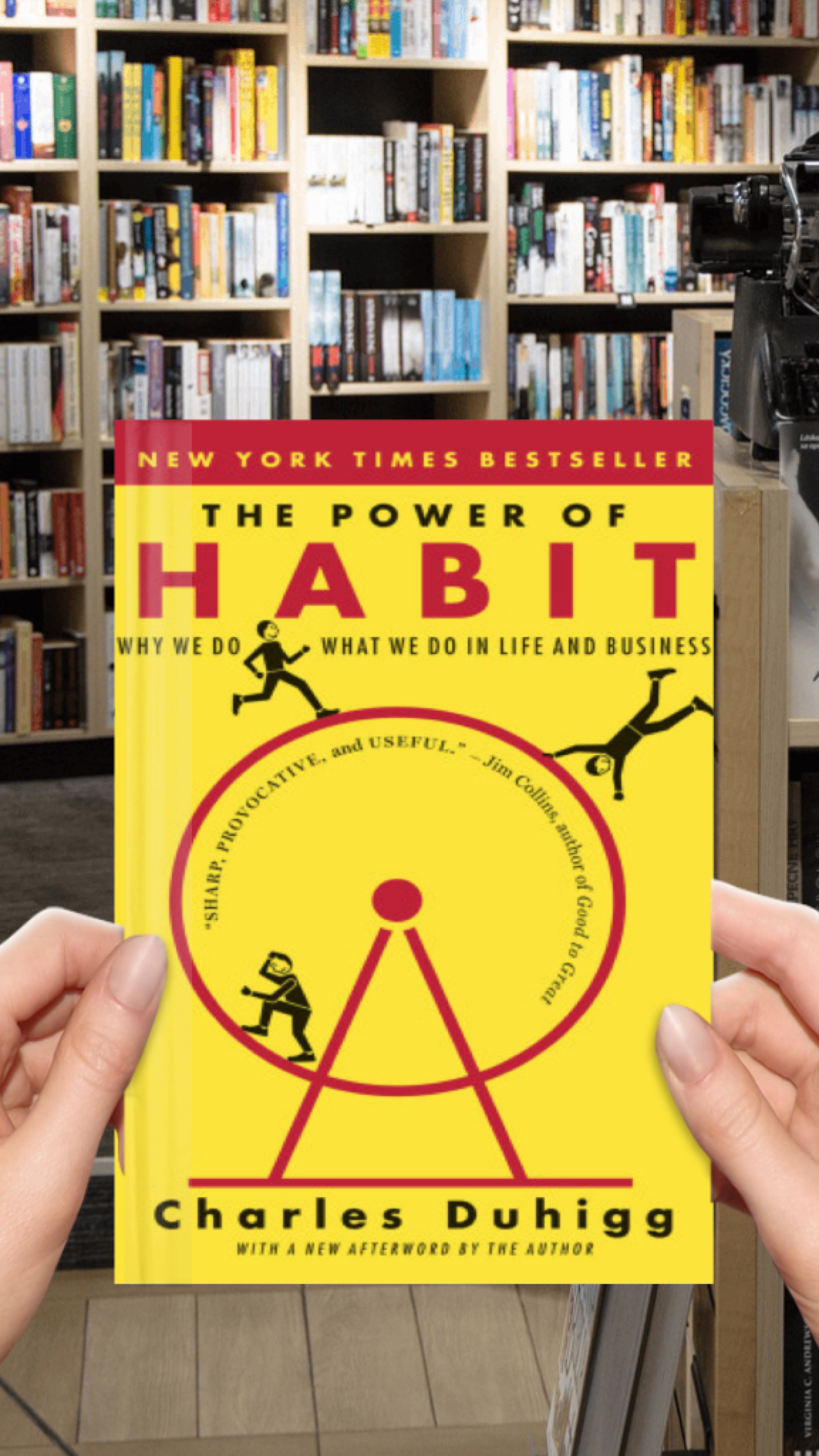 The Power of Habit