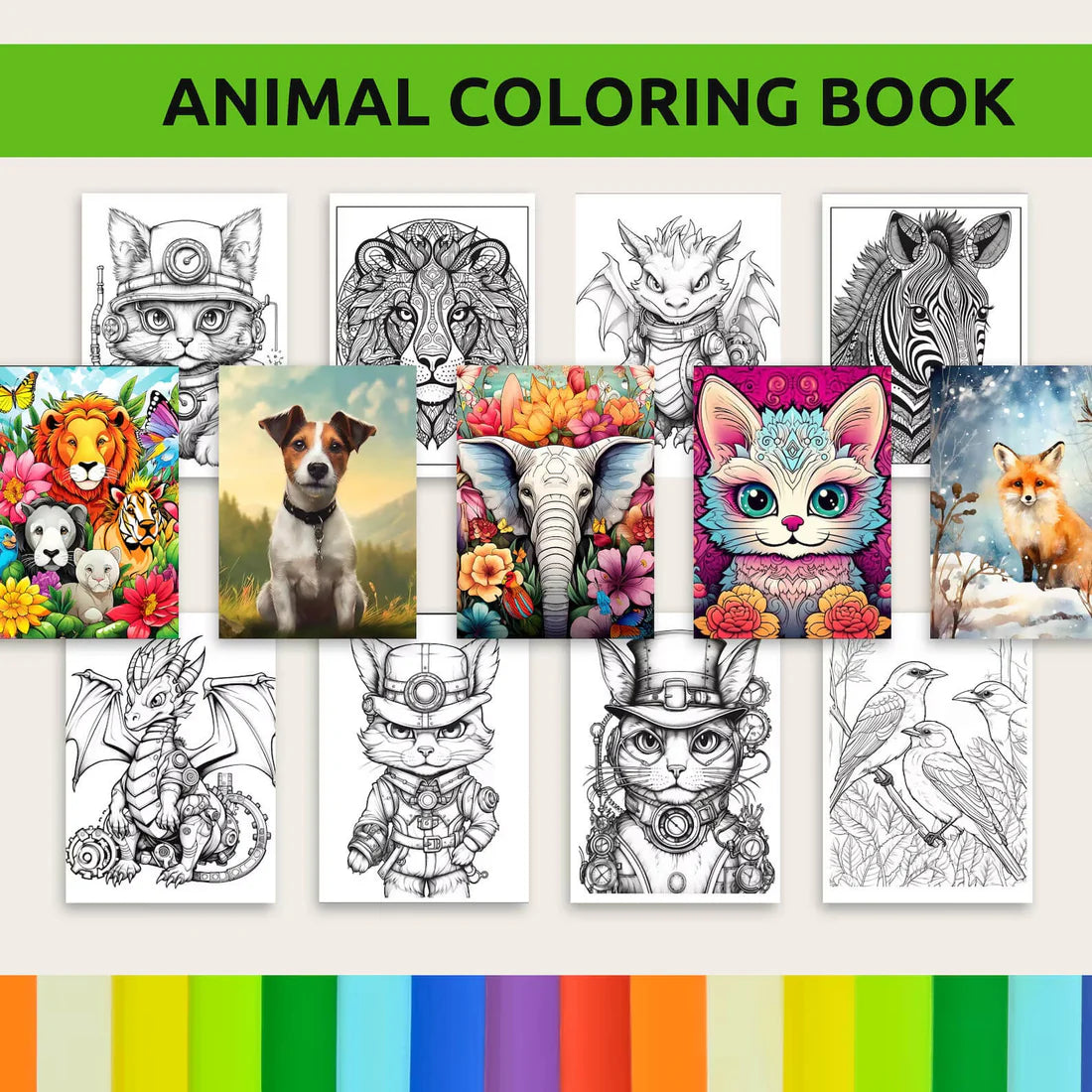 Coloring Book Set